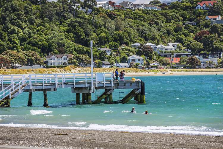 3 Ventnor Street Seatoun_14