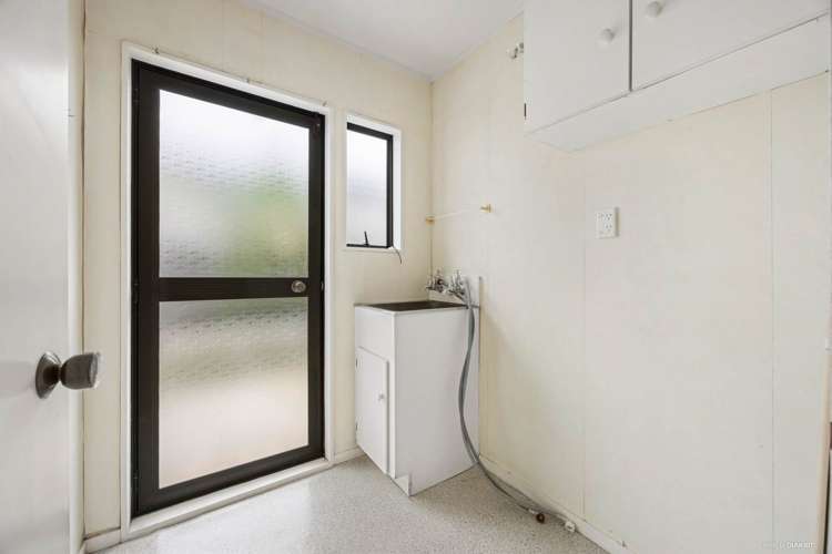 2a Nukumea Common Orewa_14