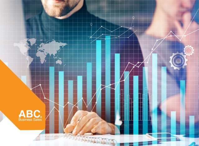 Established Accountancy Business