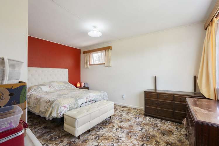 5 Hammond Street Bulls_6