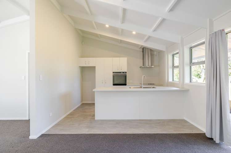 7 Fagan Street Bulls_4