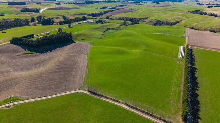 467 Waihaorunga Back Road Elephant Hill_7