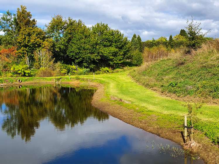 94a Kauri Point Road Hauraki Surrounds_9