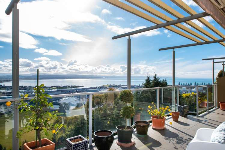 2/22 Hospital Terrace Hospital Hill_18