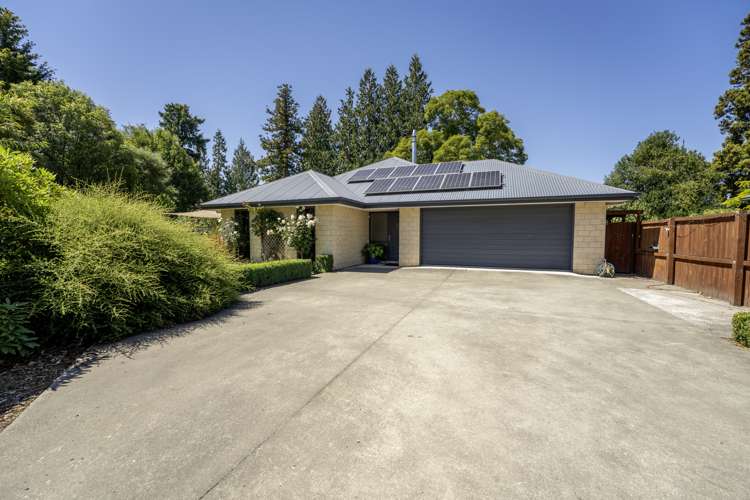 55a Cox Street Geraldine_15