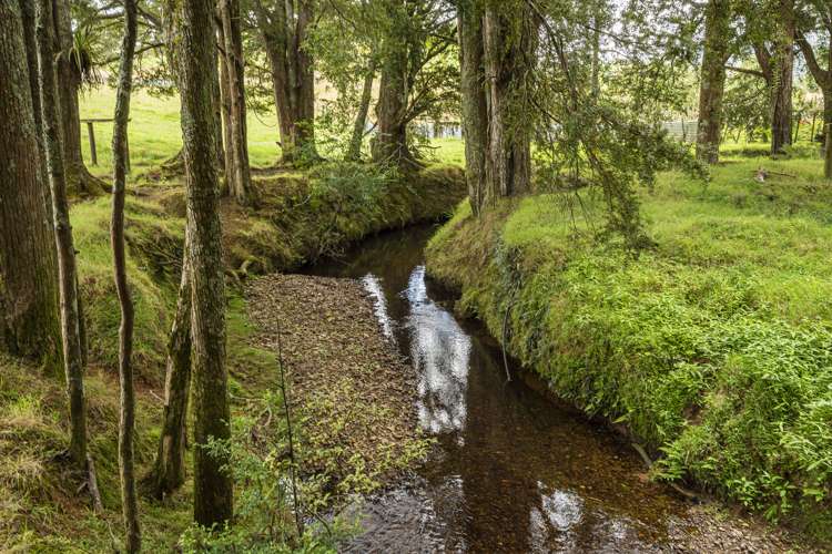 453 Pigs Head Road Hukerenui and Surrounds_22