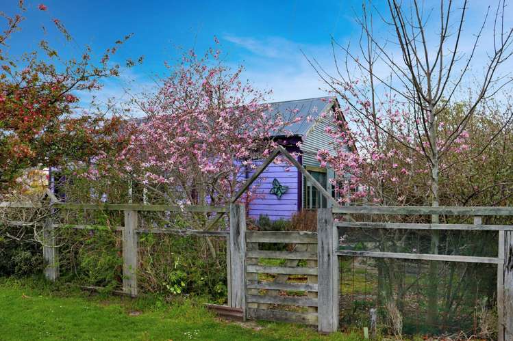 15 Wamphray Street Nightcaps_2