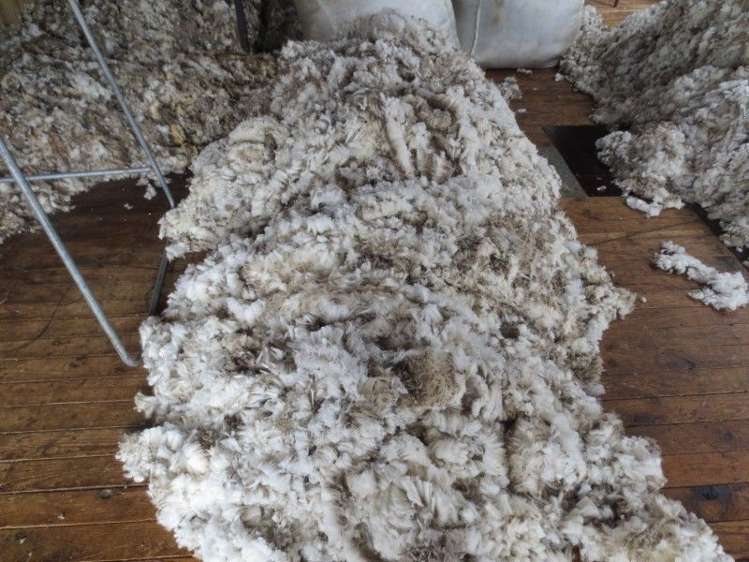 232 Ida Valley Back Road Oturehua_20