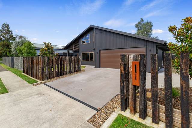 2B North Street Morrinsville_2