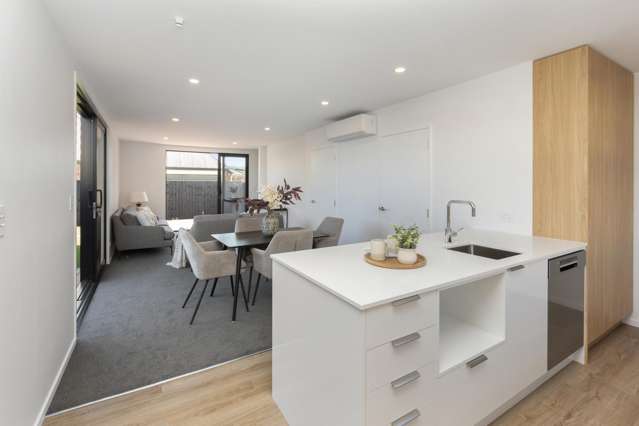 46b Division Street Riccarton_3