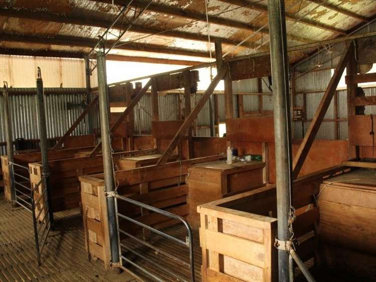 912 Range Road Pongaroa_7