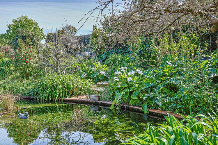 1213 Ada Street Parkvale_20