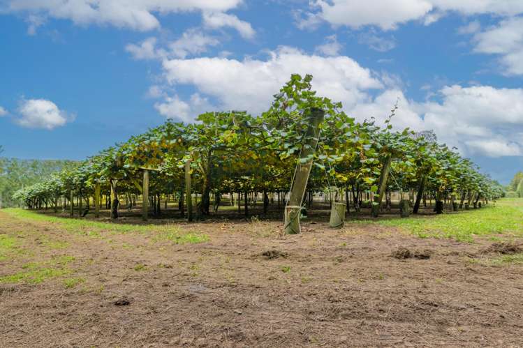 169 Kauri Point Road Tahawai_3