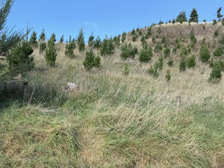 300 Ngapaeruru Road Dannevirke_2