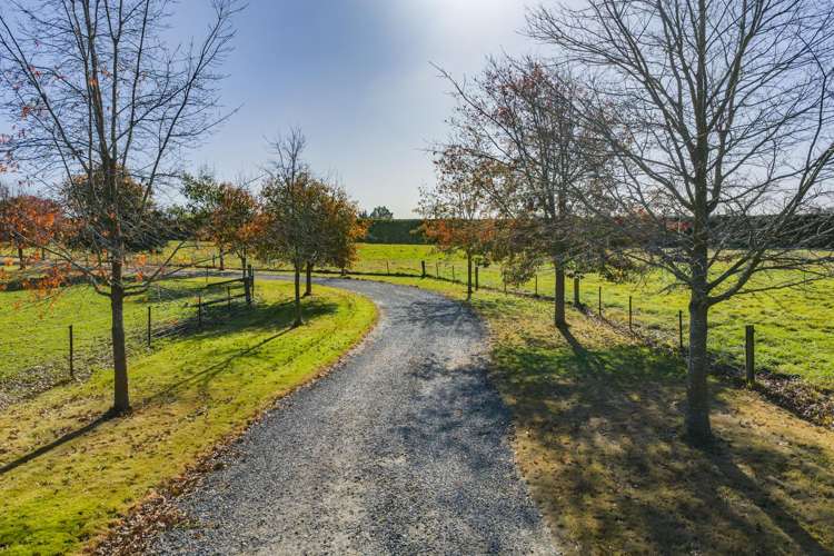 186 Terrace Road Leithfield_38