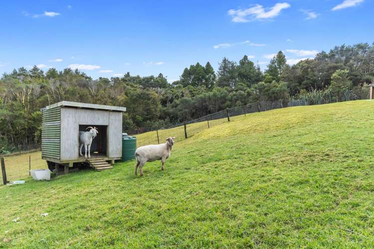 233 Pigs Head Road Whakapara_29