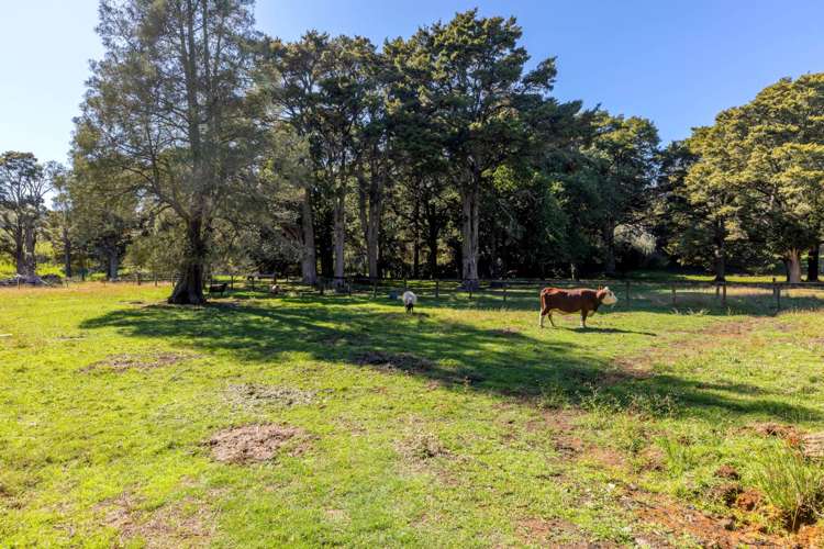 145b Helenslee Road Pokeno_39