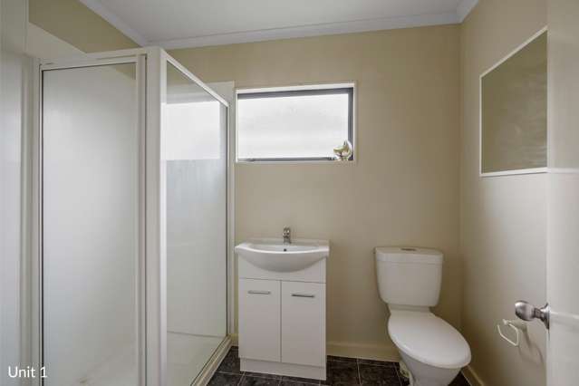 17A-E Paterson Street Frankton_4