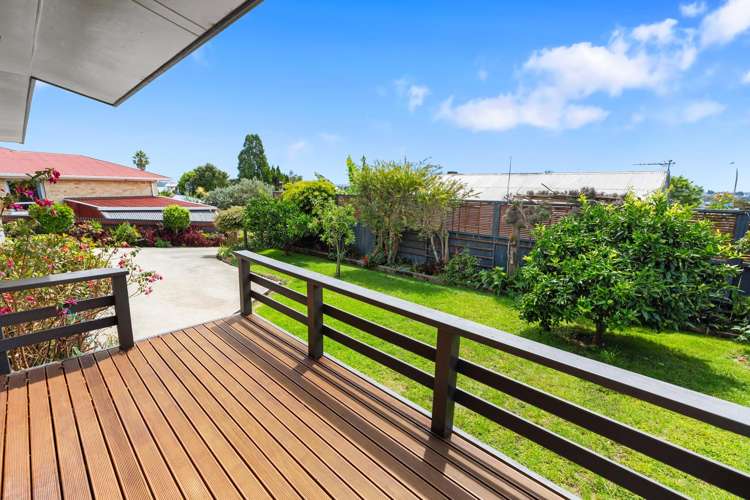 40A Princess Road Bellevue_5