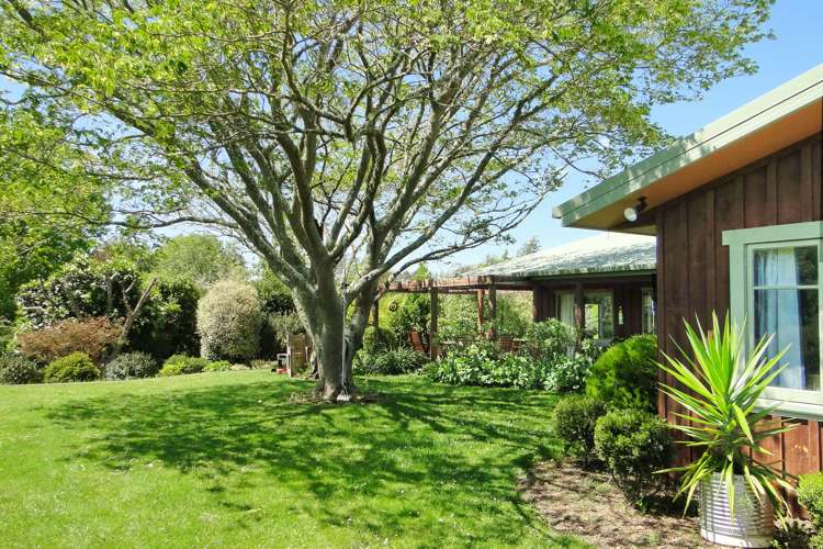 335 Old Coach Road Upper Moutere_5