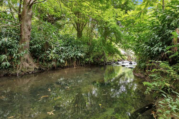 148 Western Hills Drive Kensington_27