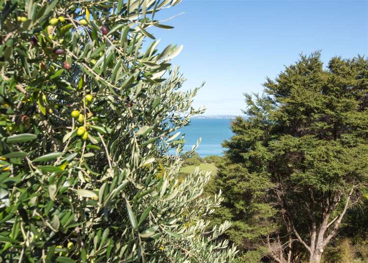 29 Rothschild Terrace Waiheke Island_16