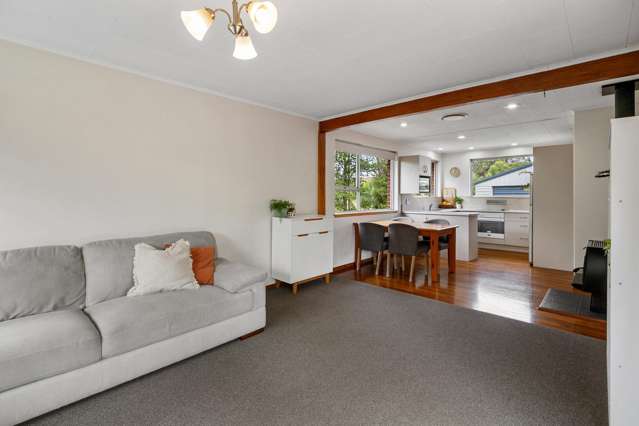 49 Kabul Street Pleasant Point_2