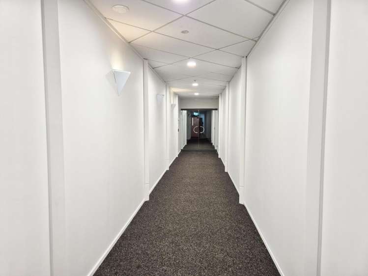 15 Walter Street Te Aro_13