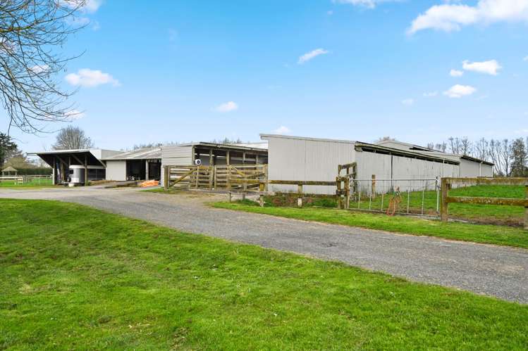 59 Racecourse Road Cambridge_51