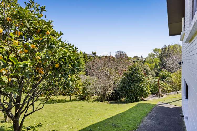 13A Karamea Street Whalers Gate_26