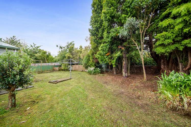 24 Wilson Street Waverley_4