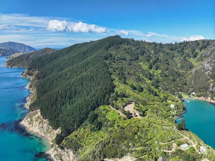 Te Rua Bay Tory Channel_6