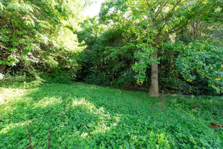 441 State Highway 2 Mangatawhiri_6