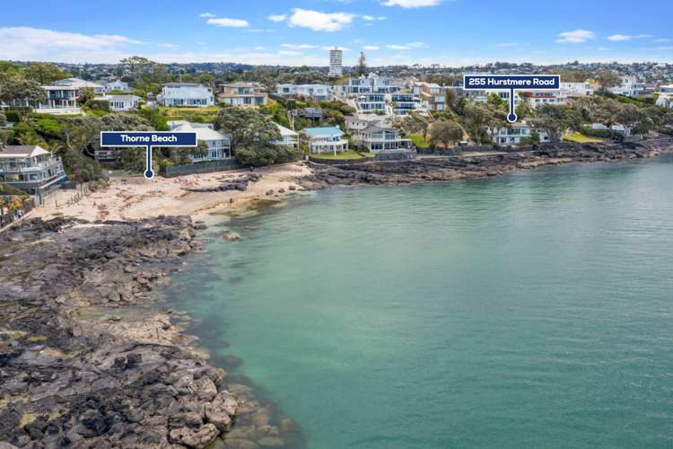 255 Hurstmere Road Takapuna_29
