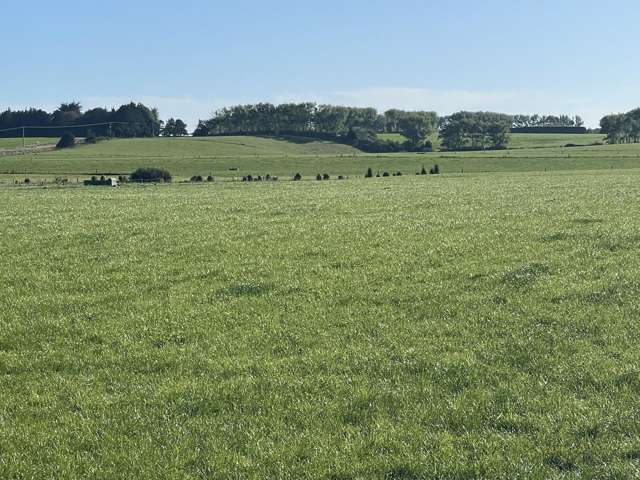 488 Thornbury Waimatuku Road Thornbury_4