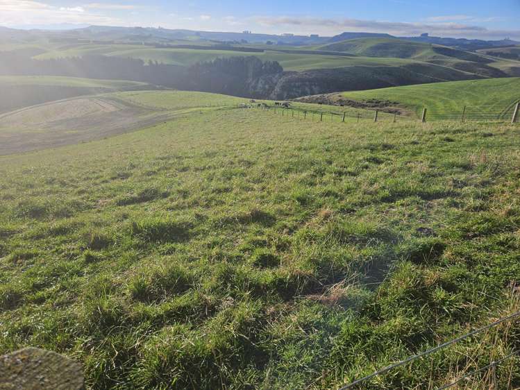 Dunrobin Road Fuchsia Creek_1