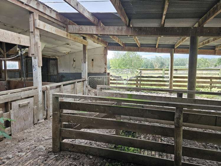 147 Chicory Road Inch Clutha_14