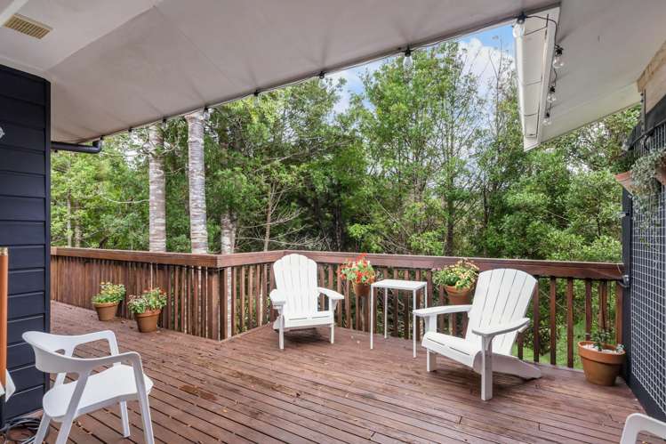 18 Primrose Lane Albany_10