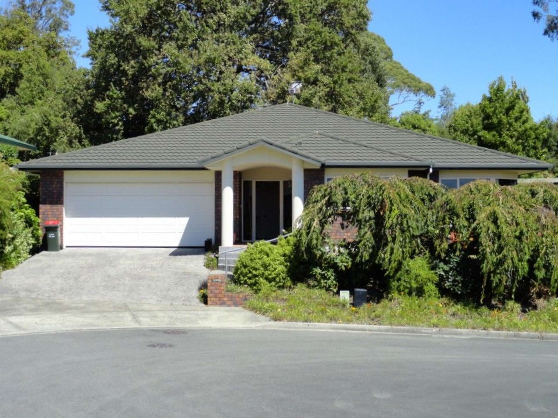 16 Orpington Place Stoke_0