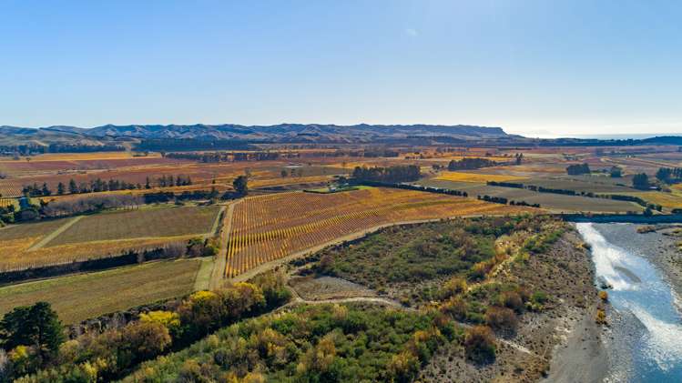 1523 Redwood Pass Road Seddon_15