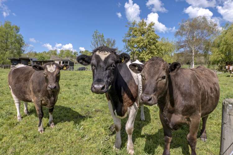 127 Goodericks Road Lincoln_30