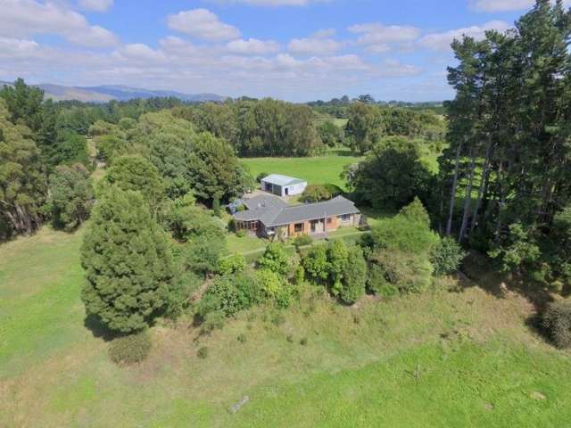 67 Hewitts Road Linton_2