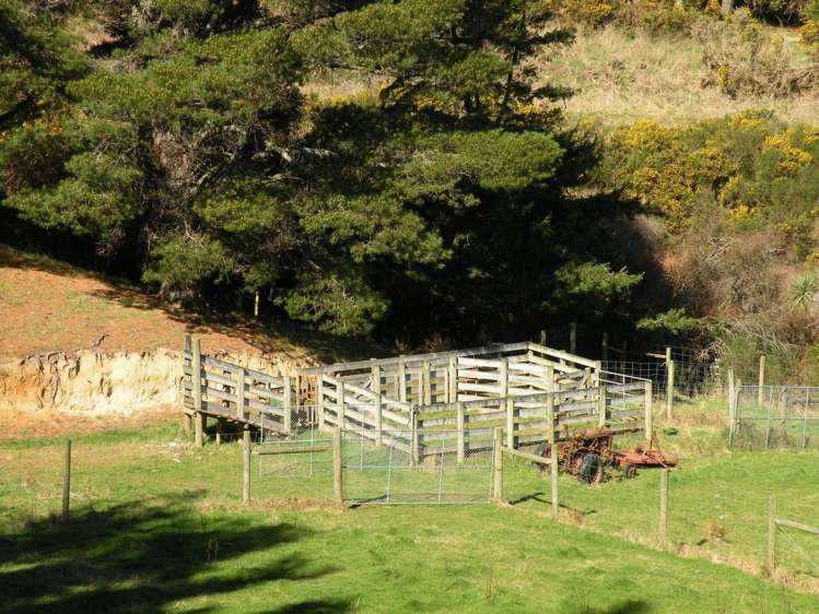 92 Mcmeakin Road Mount Grand_13