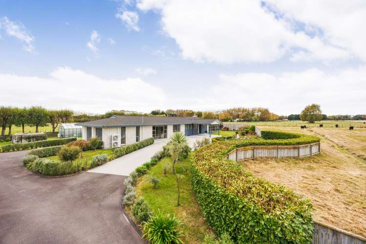 506 Kairanga Bunnythorpe Road Newbury_30