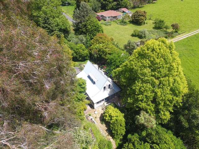 213 Packard Road Kahurangi National Park_2
