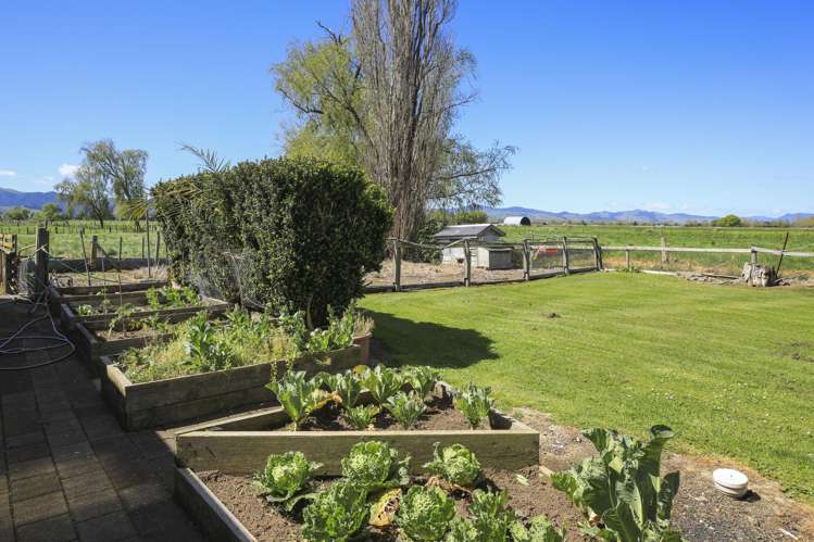 775 Hauraki Road Turua_6