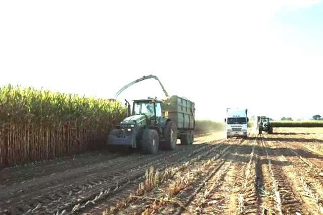867 Waihekau Road Waitoa_1