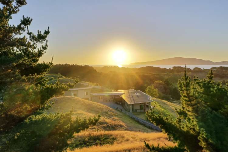 187 Peka Peka Road Peka Peka_2