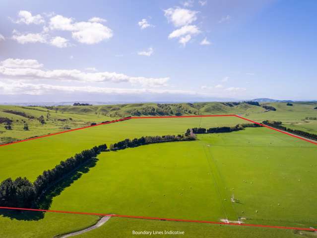 White Rock Road Martinborough_3