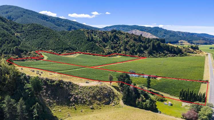 1224 Kaituna-Tuamarina Road Kaituna_23